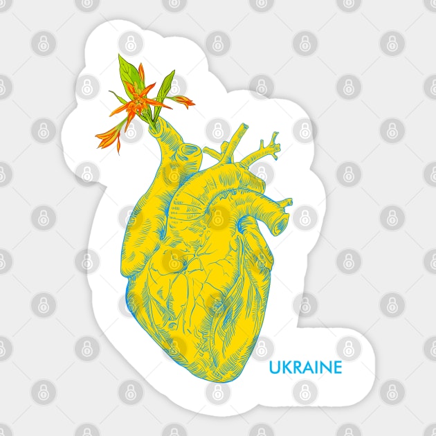 I love Ukraine, an anatomical heart in the colors of the flag. Sticker by Olga Berlet